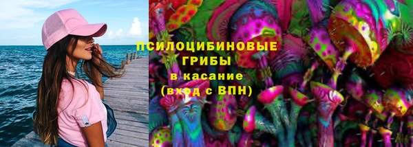 сатива Пестово